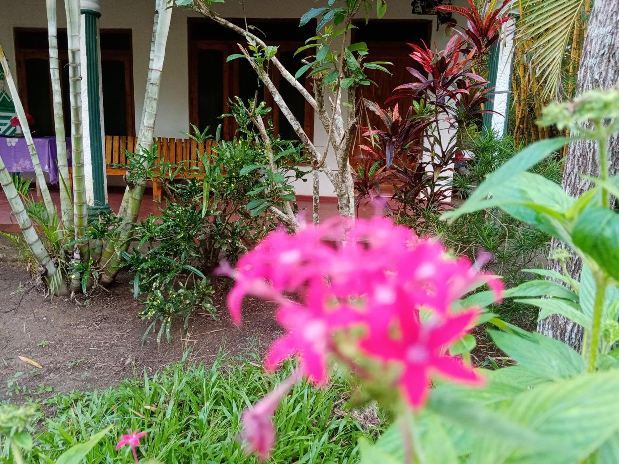 Horizon Resort & Hostel シギリヤ エクステリア 写真