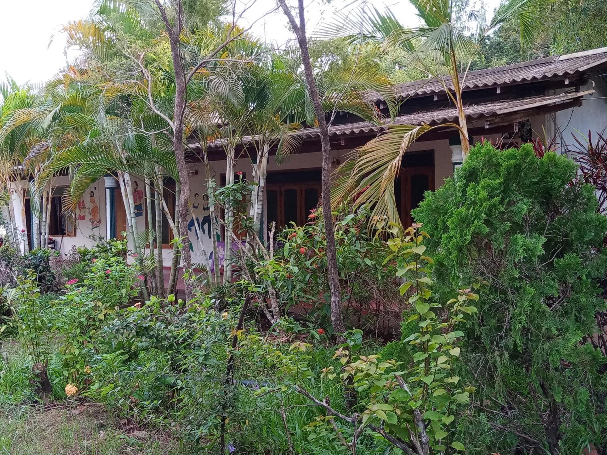 Horizon Resort & Hostel シギリヤ エクステリア 写真